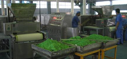 脱水蔬菜干燥机 脱水蔬菜干燥机