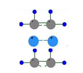 脱水蔬菜干燥机中物料的物理化学性质