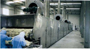 脱水蔬菜干燥机