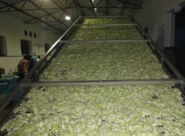 常州健达干燥生产的脱水蔬菜干燥机