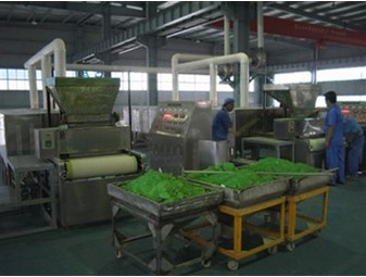 脱水蔬菜干燥机