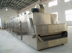 DWT网带式脱水蔬菜干燥机